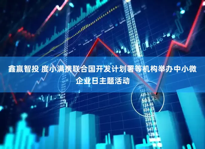 鑫赢智投 度小满携联合国开发计划署等机构举办中小微企业日主题活动