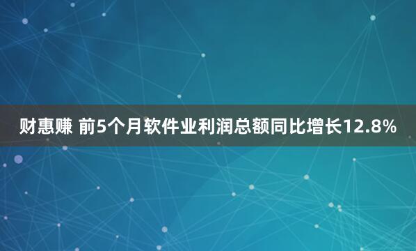 财惠赚 前5个月软件业利润总额同比增长12.8%