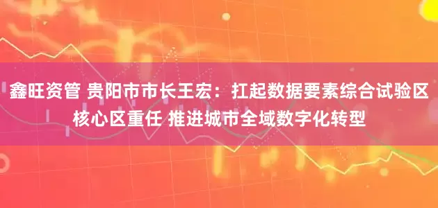 鑫旺资管 贵阳市市长王宏：扛起数据要素综合试验区核心区重任 推进城市全域数字化转型
